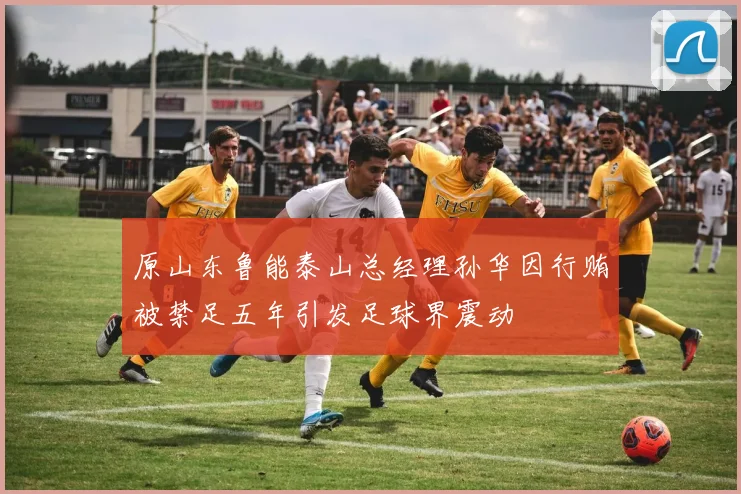 原山东鲁能泰山总经理孙华因行贿被禁足五年引发足球界震动